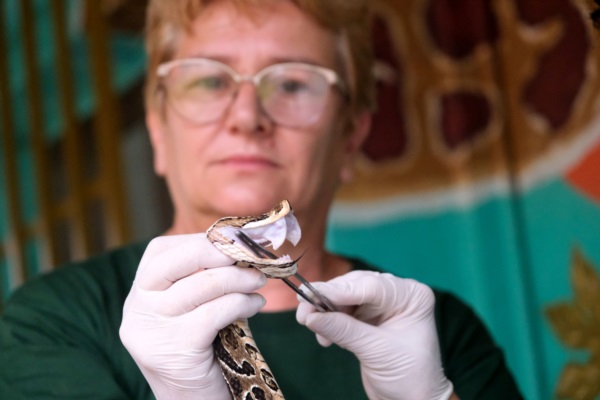 Pamela Teibler, doctora responsable del Centro Interactivo de Serpientes Venenosas.