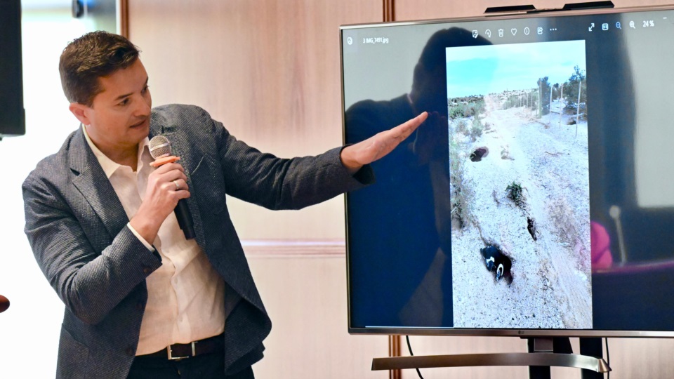 Foto Daniel Feldman / Diario Jornada