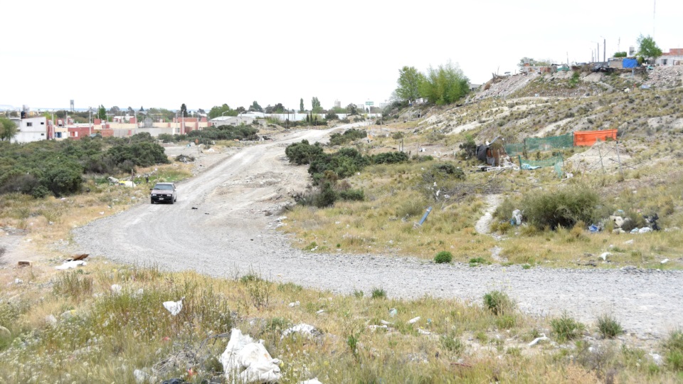 Foto : Norman Evans / Diario Jornada