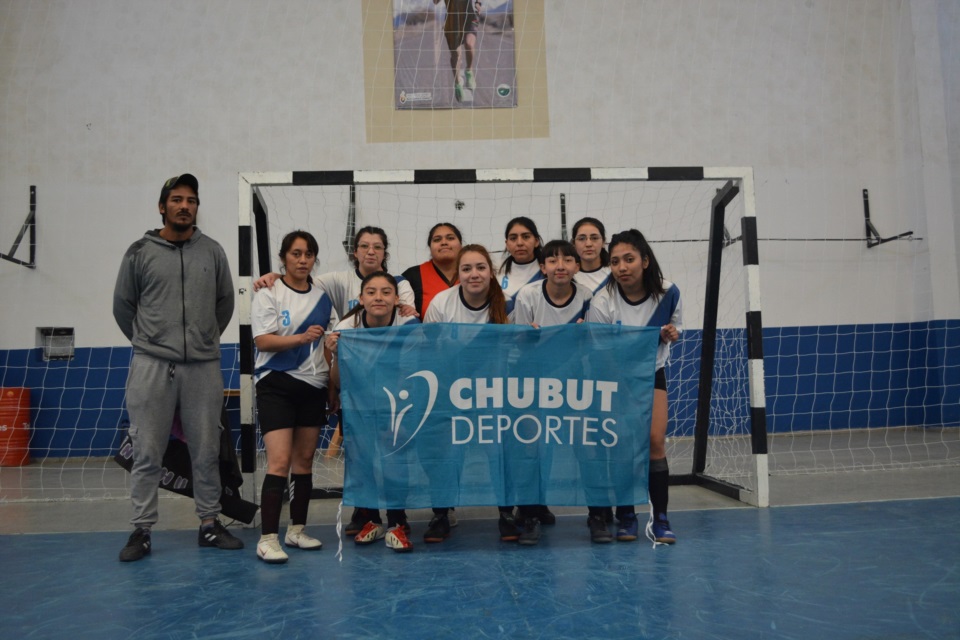 Vanguardias de Cushamen.