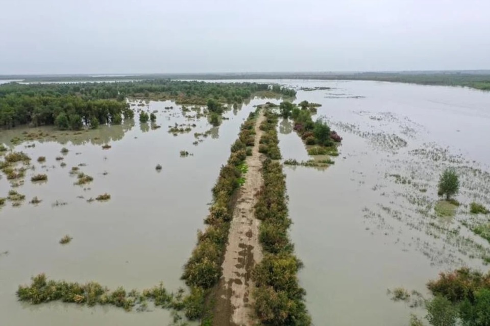 Vista panorámica de una inundación. Fotografía: Agencia Noticias Argentinas/Xinhua