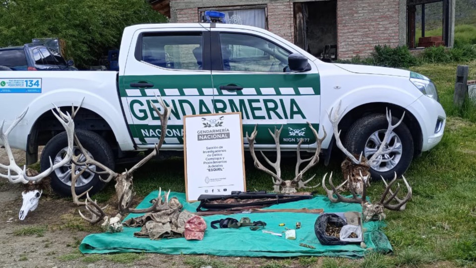 Los dos allanamientos se llevaron a cabo en Cholila.