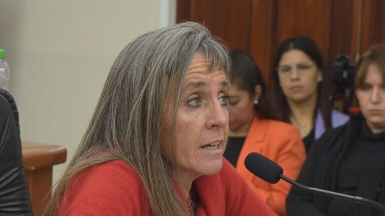 La concejal Andrea Rueda pedirá un informe.