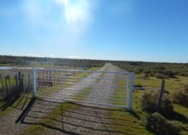 "La Esperanza", el campo con arena de los Bowen.