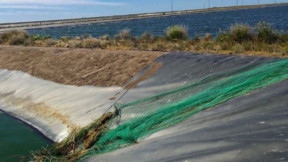 Unos 13 metros de membrana en una de las lagunas de tratamiento fueron robados.