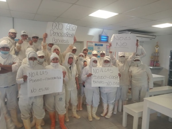 Una de las plantas que protestó contra la idea. 