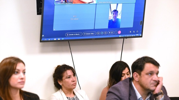 Declaración de Pablo Leuful 