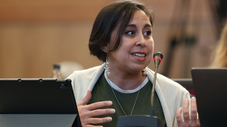 Virginia Alonso Roldán coordinó uno de los capítulos de este proyecto. 