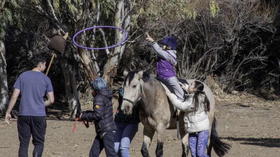 La norma impulsa su práctica como herramienta terapéutica. integral