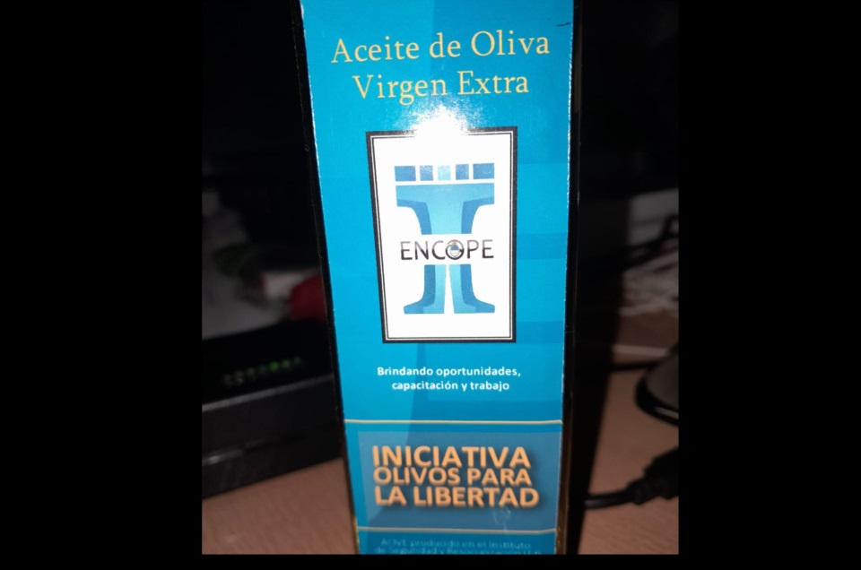 Primer aceite de oliva extra virgen de los olivos de la U-6.