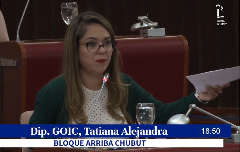 Goic presentó un pedido en nombre de Fita.