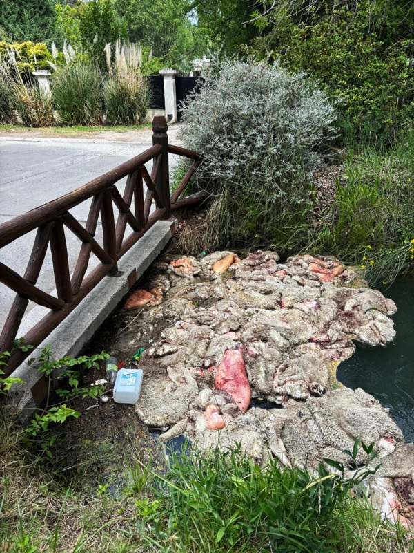 Foto: Compañía de Riego.