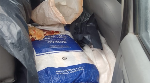 Una res entera fue secuestrada y enviada a una camara de frio local.