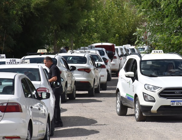Actualización. Los taxis concurrieron para renovar el relojero. 