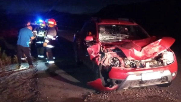 El accidente ocurrió durante la noche con escasa visibilidad. En el lugar intervinieron los bomberos.