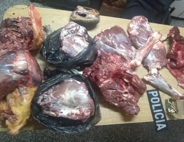 La carne fue incinerada y las balas de alto calibre, incautadas.