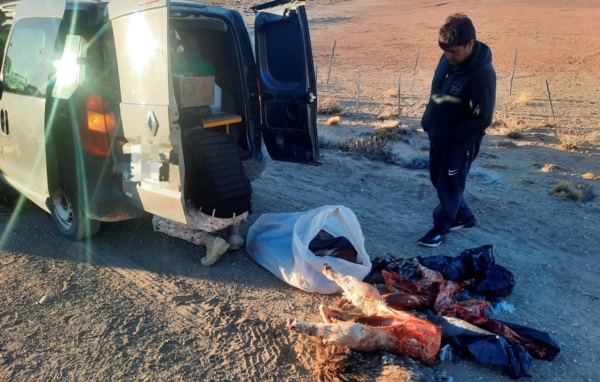 Los productos cárnicos y el rifle fueron incautados por la Policía. Hay un hombre imputado por el hecho.