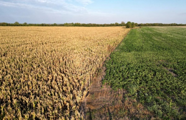 El contraste entre sequía y humedad muestra cómo actuarían los patrones climáticos cambiantes. Foto NA: Miguel Lo Bianco.