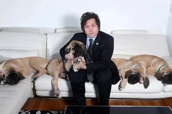 Medio forfai. ¿Cinco "hijitos de cuatro patas" o cuatro hijos de cinco?