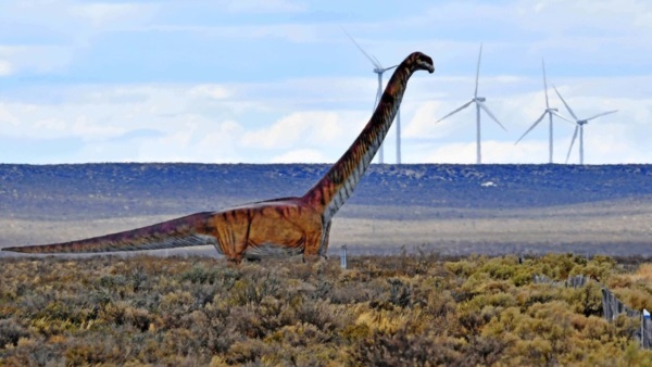 El titanosaurio de Trelew y los molinos de fondo. Se multiplicarán las aspas con el hidrógeno verde. (Foto: Daniel Feldman / Jornada)