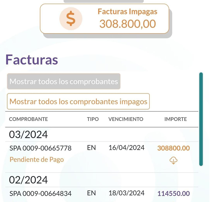 La facturación llegada a los comerciantes generó severas críticas.