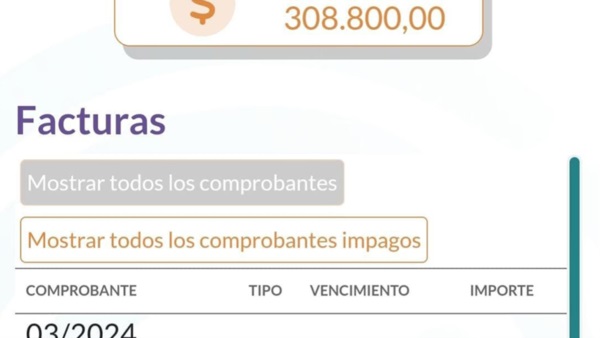 La facturación llegada a los comerciantes generó severas críticas.