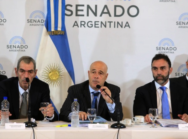 Los secretarios de Energía, Eduardo Rodríguez Chirillo y de Trabajo, Julio Cordero, exponen ante la Reunión plenaria de comisiones del senado que trata la "Ley Bases".
