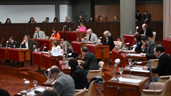 Sesión de la Legislatura (Daniel Feldman/Jornada)