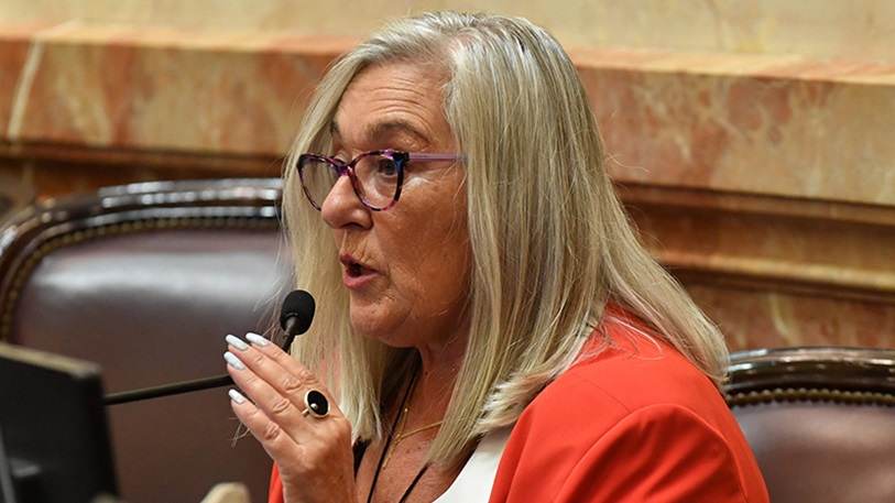 La senadora Edith Terenzi, víctima de un robo en Trelew.