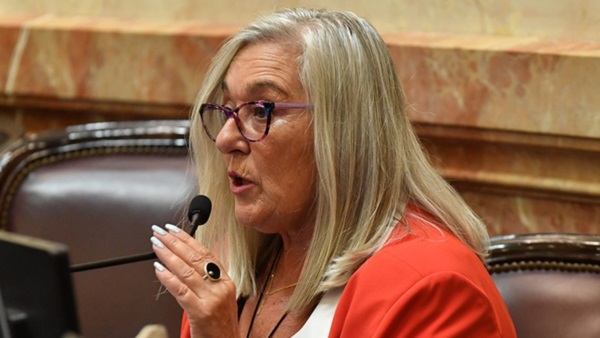 La senadora Edith Terenzi, víctima de un robo en Trelew.