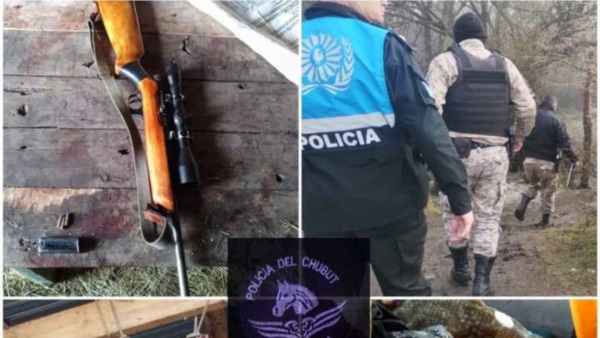 La Policía incautó un rifle, balas y gran parte del cuerpo de un jabalí.