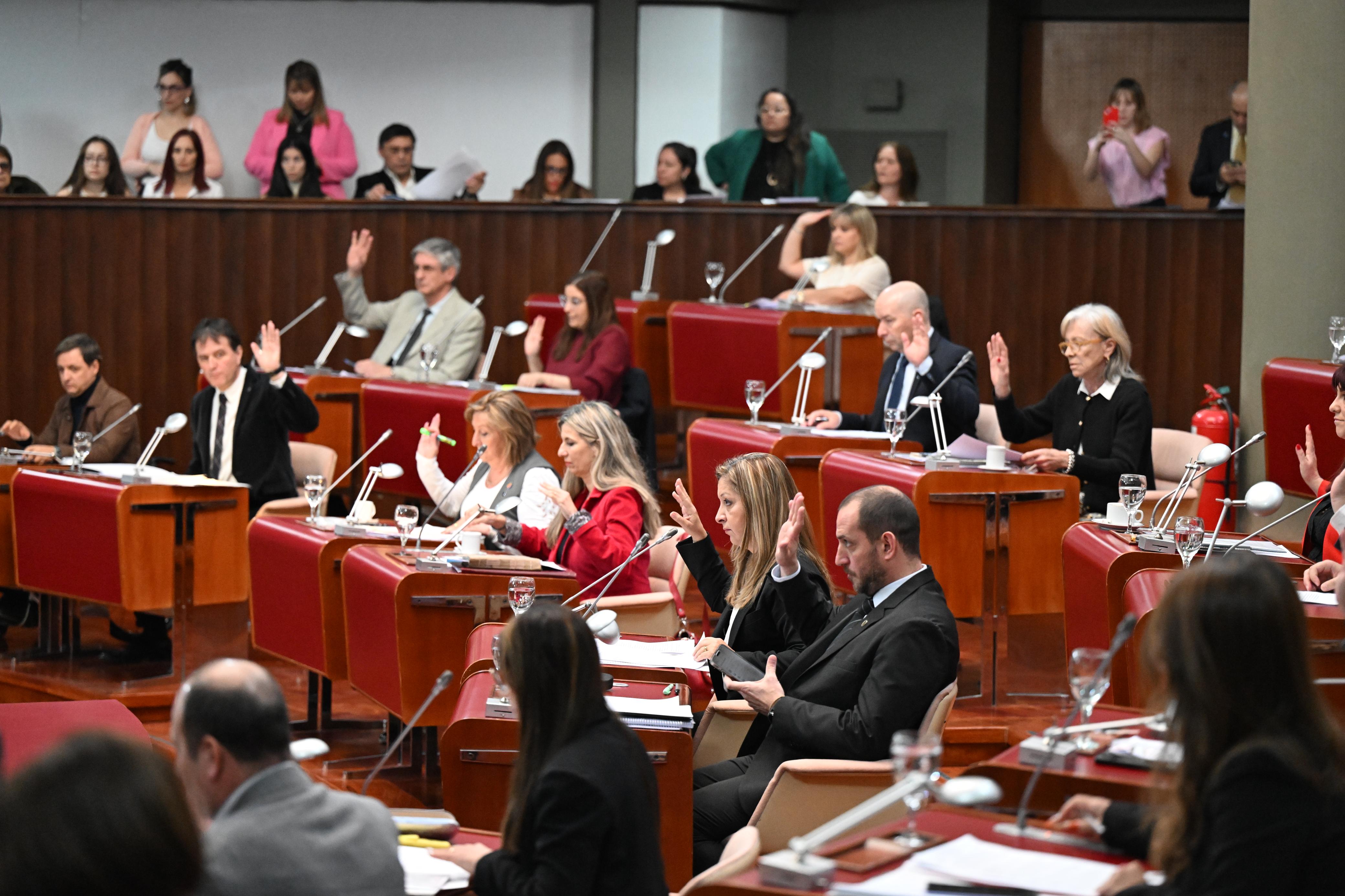 Foto : Daniel Feldman / Diario Jornada