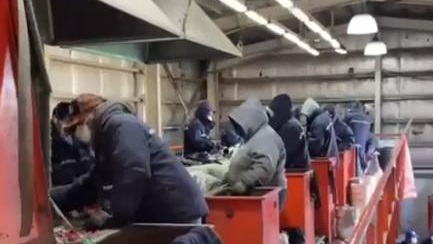 Recuperación, tratamiento y disposición final de los residuos n el GIRSU.