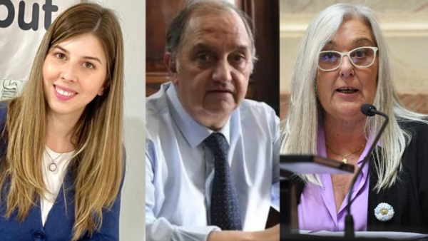 Senadores Cristina, Linares y Terenzi.