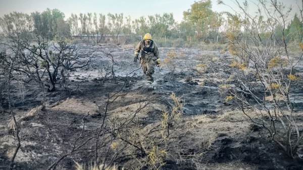 Un bombero camina sobre la zona incendiada.