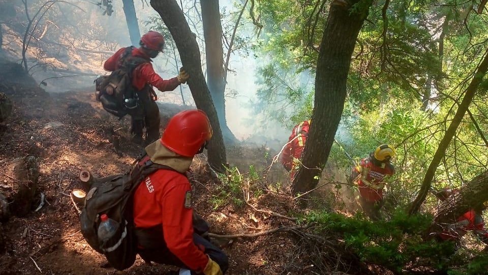 Brigadistas siguen combatiendo directamente al fuego.