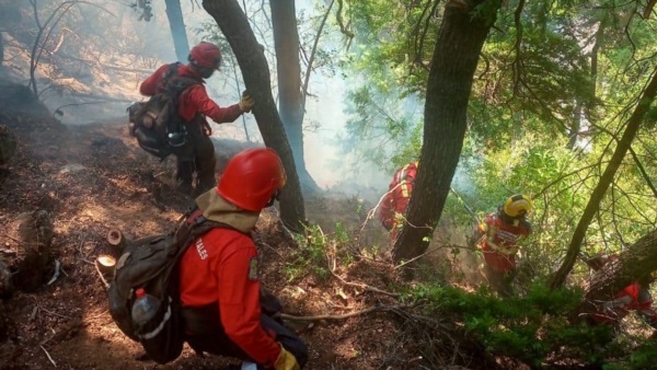 Brigadistas siguen combatiendo directamente al fuego.