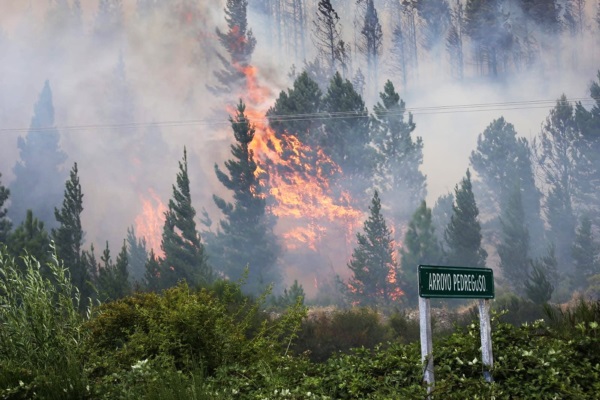 Foto archivo de cuando inició el incendio en la localidad. Cortesía de los pobladores de la zona. 