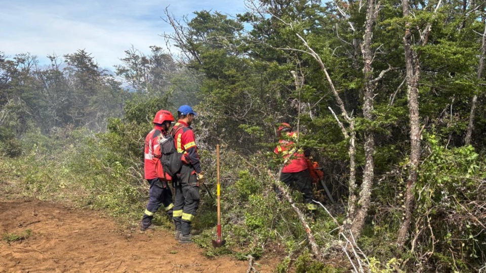 Tres organismos actúan para combatir el fuego.