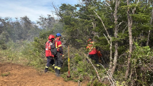 Tres organismos actúan para combatir el fuego.