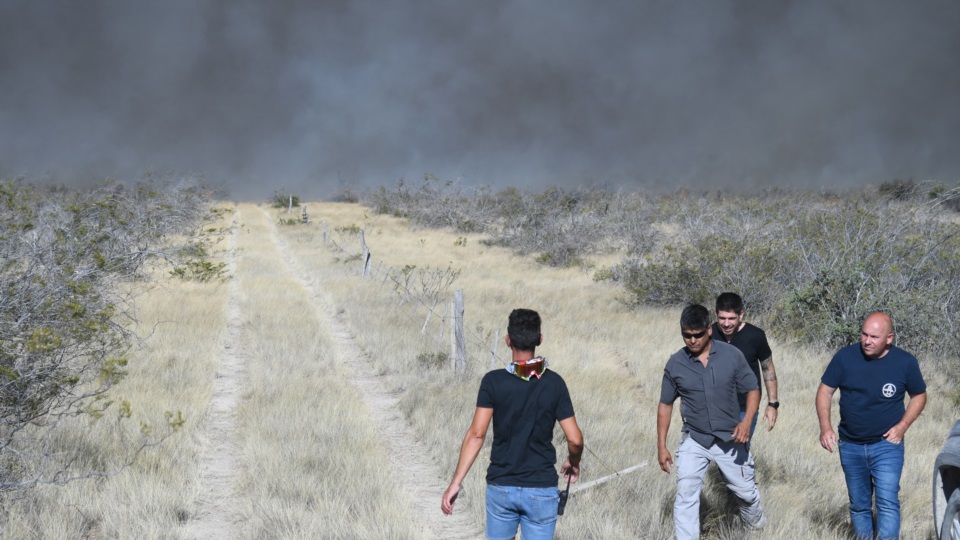 Los servidores públicos se encuentran haciendo cortafuegos.