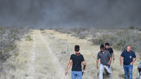 Los servidores públicos se encuentran haciendo cortafuegos.