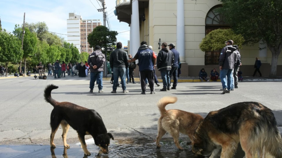 Fotografía Norman Evans- Diario Jornada