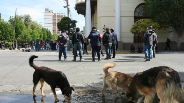Fotografía Norman Evans- Diario Jornada