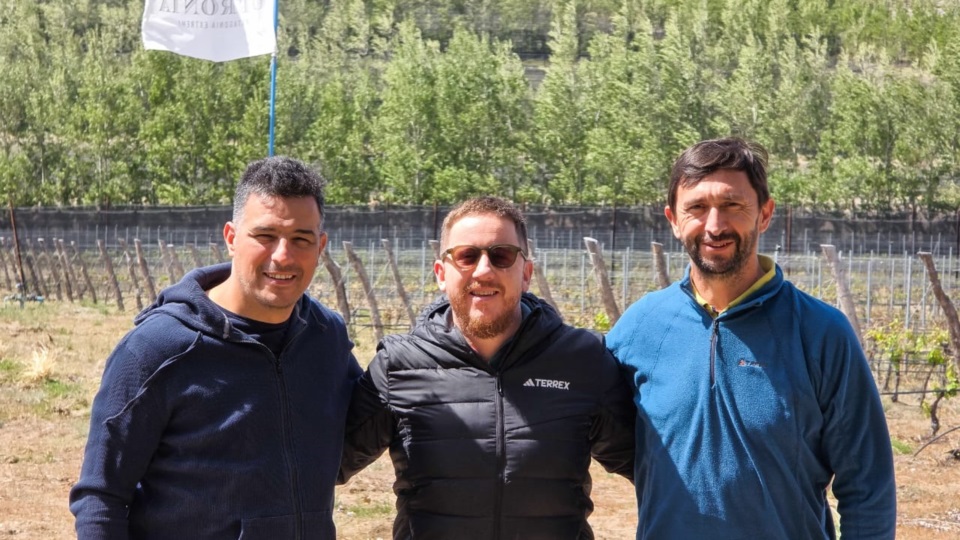 Balocchi, Bowen e Ingram en busca de un proyecto político superador.