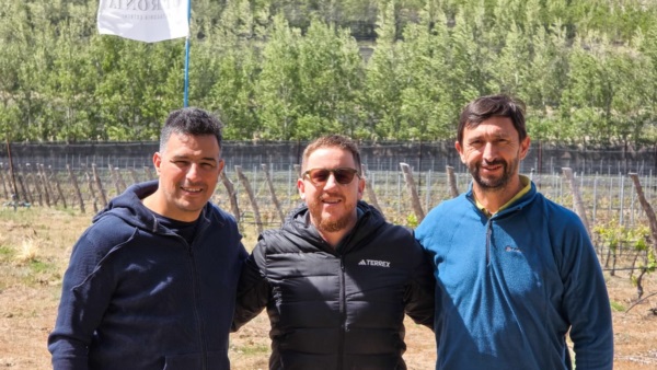 Balocchi, Bowen e Ingram en busca de un proyecto político superador.