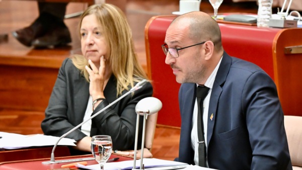 Los legisladores María Andrea Aguilera y Daniel Hollmann.