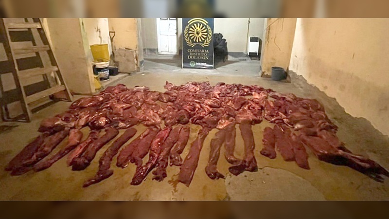 La carne de guanaco faenada fue incautada para luego ser destruida.