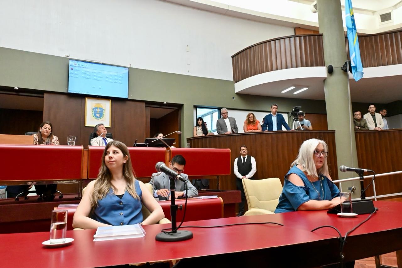 Cristina y Terenzi en la Legislatura.