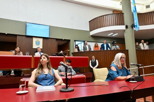 Cristina y Terenzi en la Legislatura.